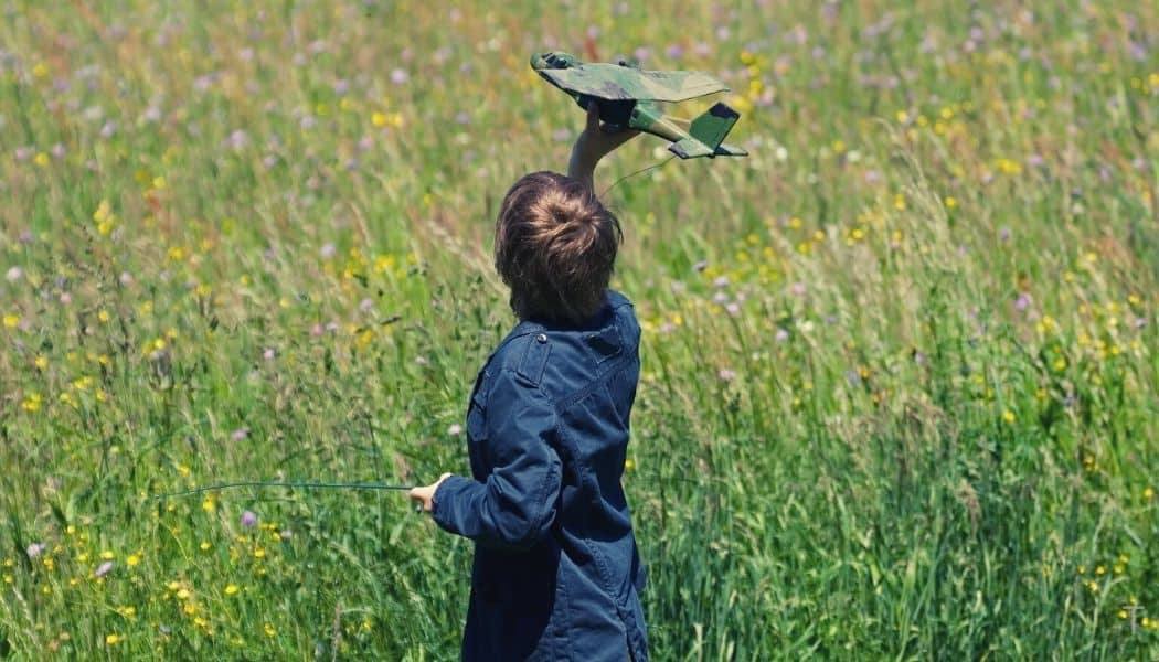 How To Fly an RC Plane? Modelsbuzz